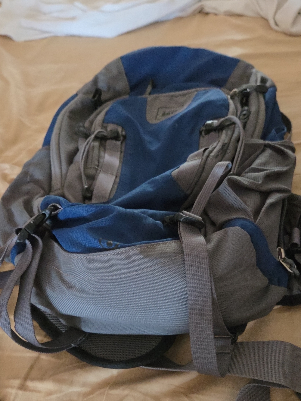REI Blue and Gray Outdoor Backpack - Lightweight Daypack
